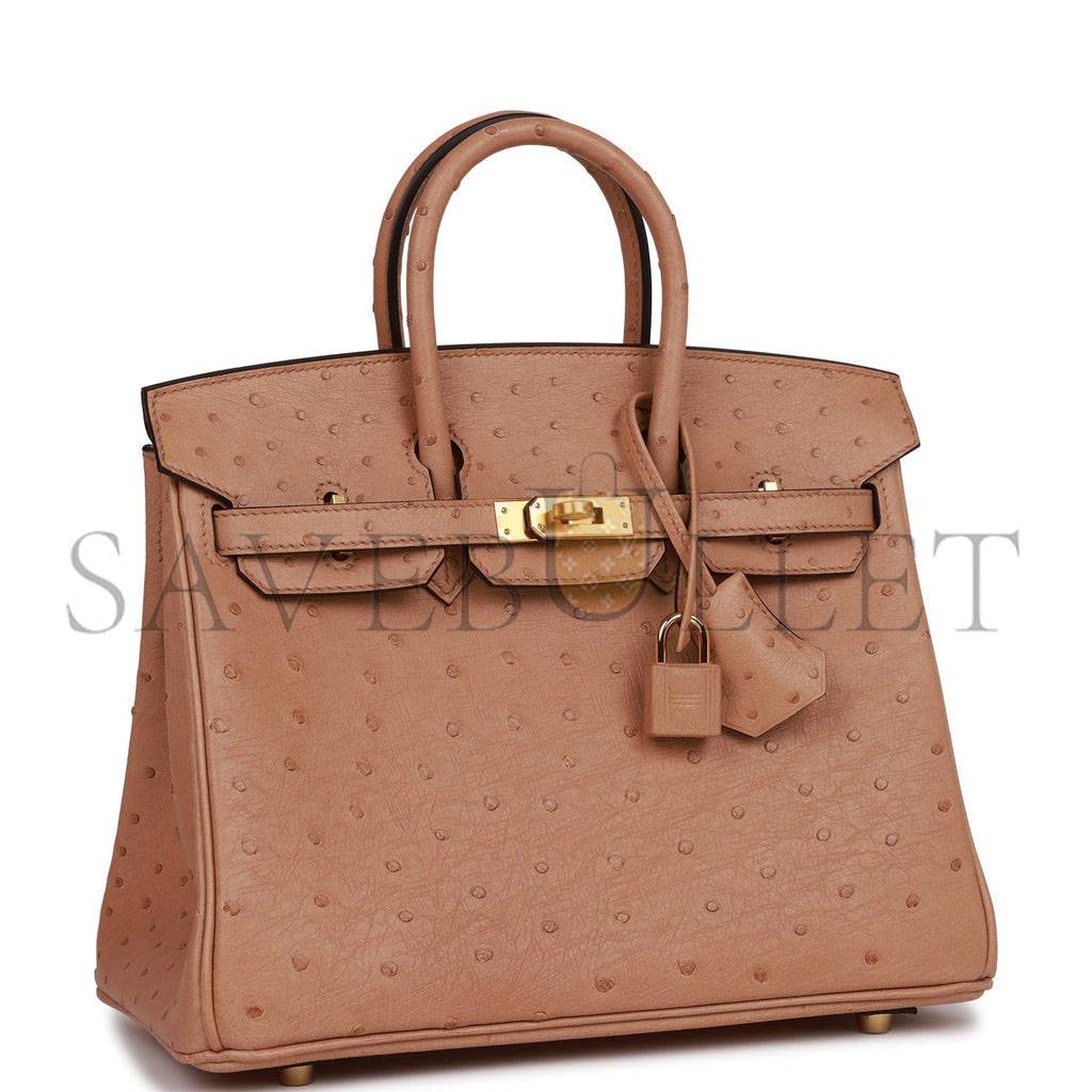 HERMES BIRKIN 25 CHAI OSTRICH GOLD HARDWARE (25cm)